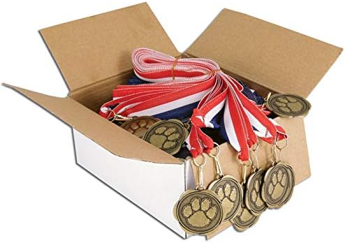 Set of 100 Award Medals with Neck Ribbons
