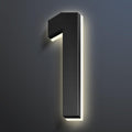 Illuminated House Address Numbers Signs, Stainless Steel,Up-Scale Modern Look, Backlit LED Illuminated Home Address Number, Lighted House Numbers For Outside,16 Inch/400mm,1