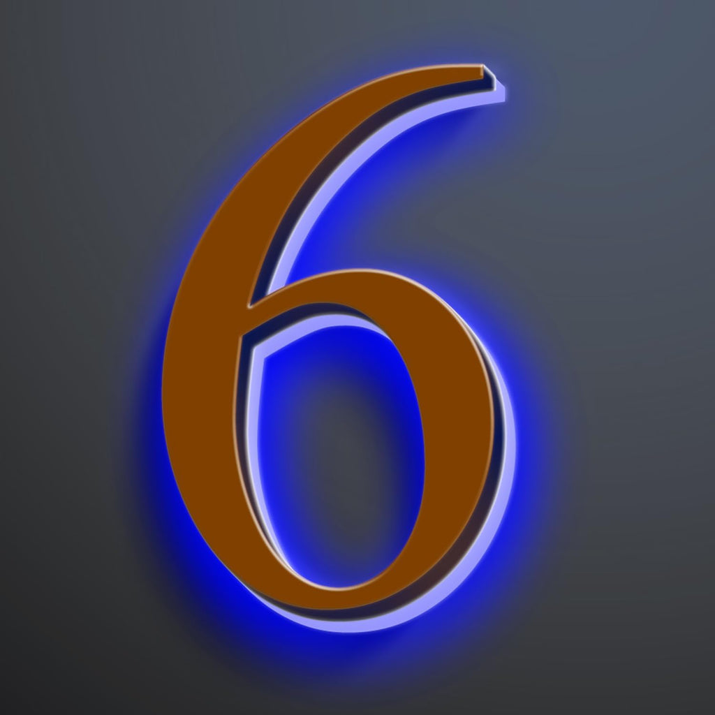 Backlit LED Illuminated House Numbers, Illuminated LED Home Address Numbers, Modern Address Signs For House, Stainless-Steel Lighted House Numbers For Outside,20 Inch/500mm,6