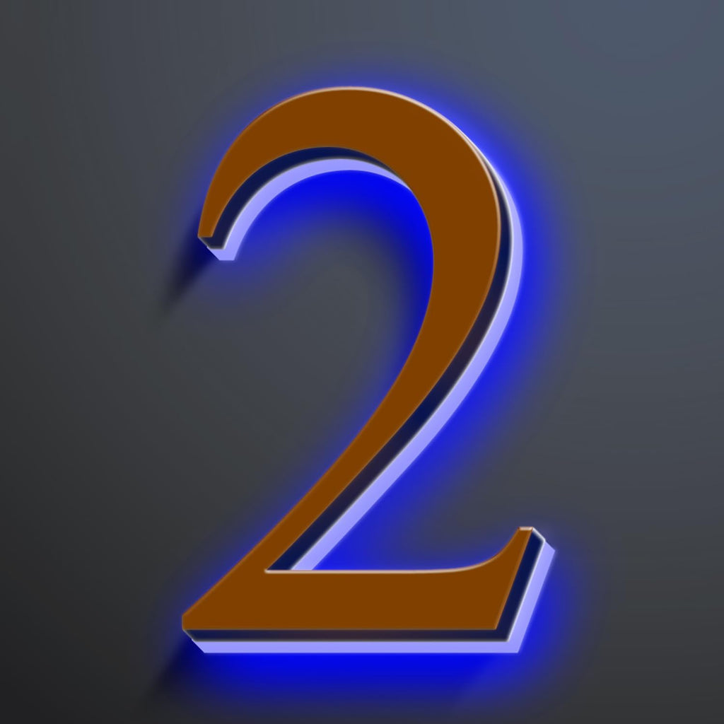 Backlit LED Illuminated House Numbers, Illuminated LED Home Address Numbers, Modern Address Signs For House, Stainless-Steel Lighted House Numbers For Outside,20 Inch/500mm,2