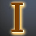 Illuminated LED House Numbers 20', Stainless Steel Backlit LED Illuminated Home Address Numbers, Large Modern Lighted House Numbers For Outside, Brown, Warm Light,I
