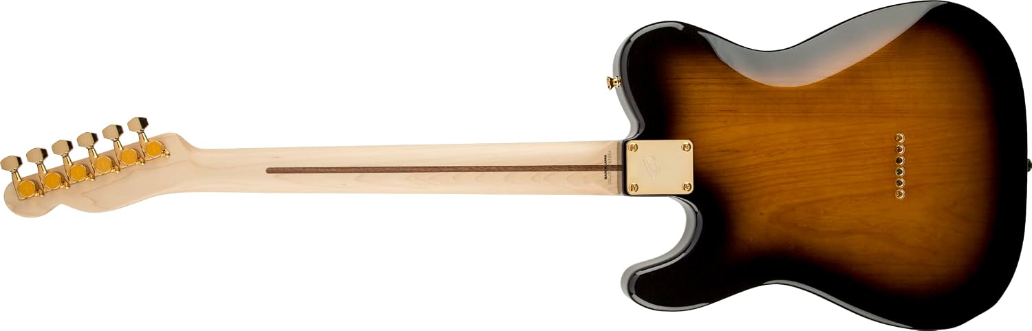 Fender Artist Series 255202532 Richie Kotzen Telecaster Electric Guitar, Maple Fingerboard, Brown Sunburst