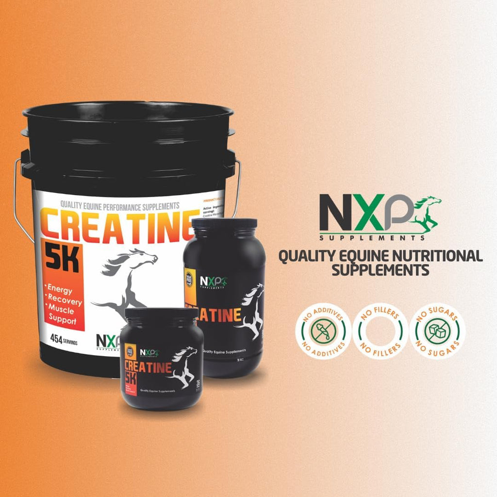Creatine 5K - Energy Muscle Support Recovery Power Strength Endurance Stamina Supplements for Horses by NXP Supplements - 25 lb (454 Servings)