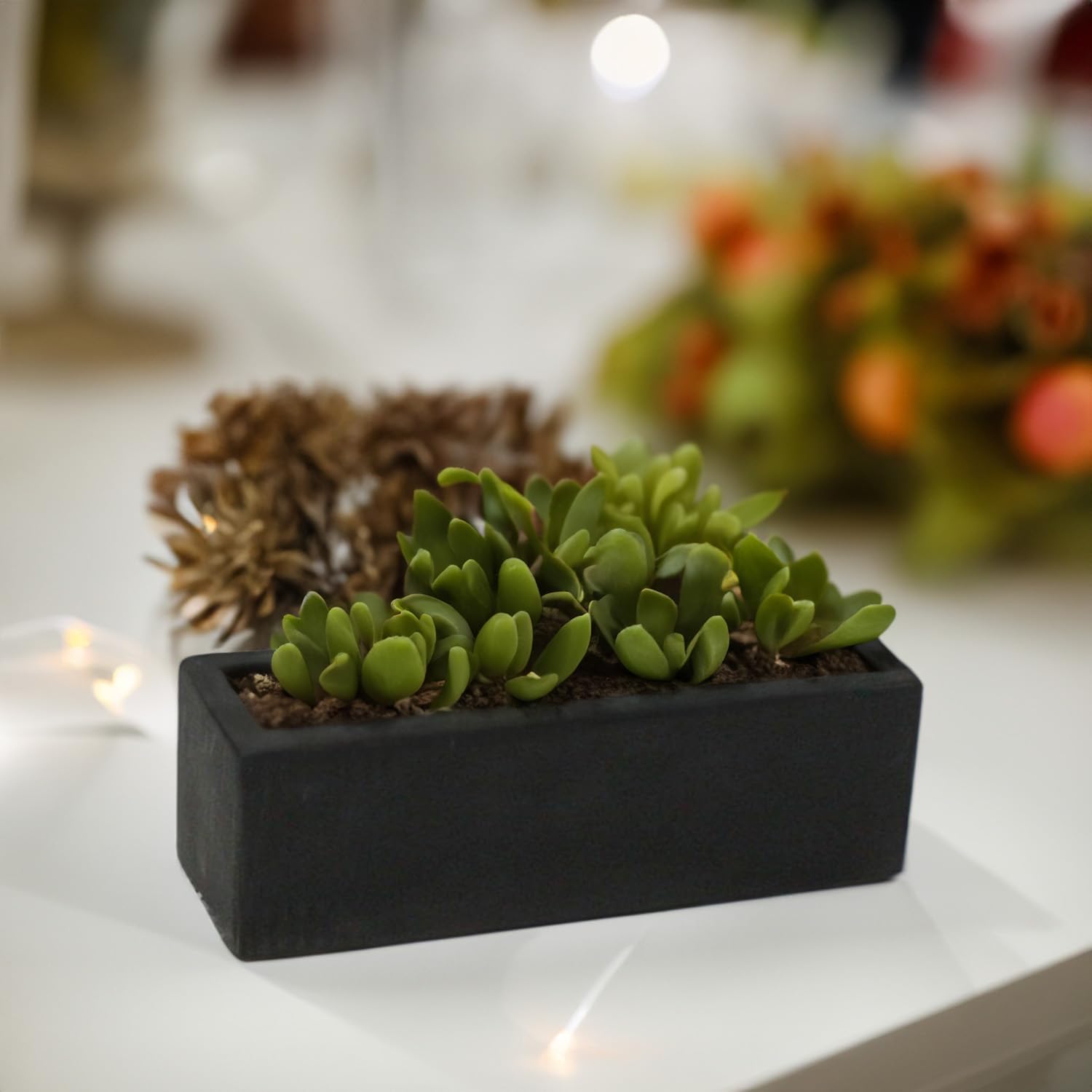 WGVI Long Rectangle Ceramic Planter Vase in Black 12' x 4' x 4'H, Block Rectangular Terrarium Box Pot, Flower Arrangement, Table top Centerpiece, Home Decor Organization Storage Container, 6 Pcs.