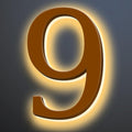 Backlit LED Illuminated Address Numbers 16 Inch, Up-Scale Modern Look, Lighted House Numbers, Large Illuminated Address Numbers Signs, Waterproof, Brown, Warm Light,9