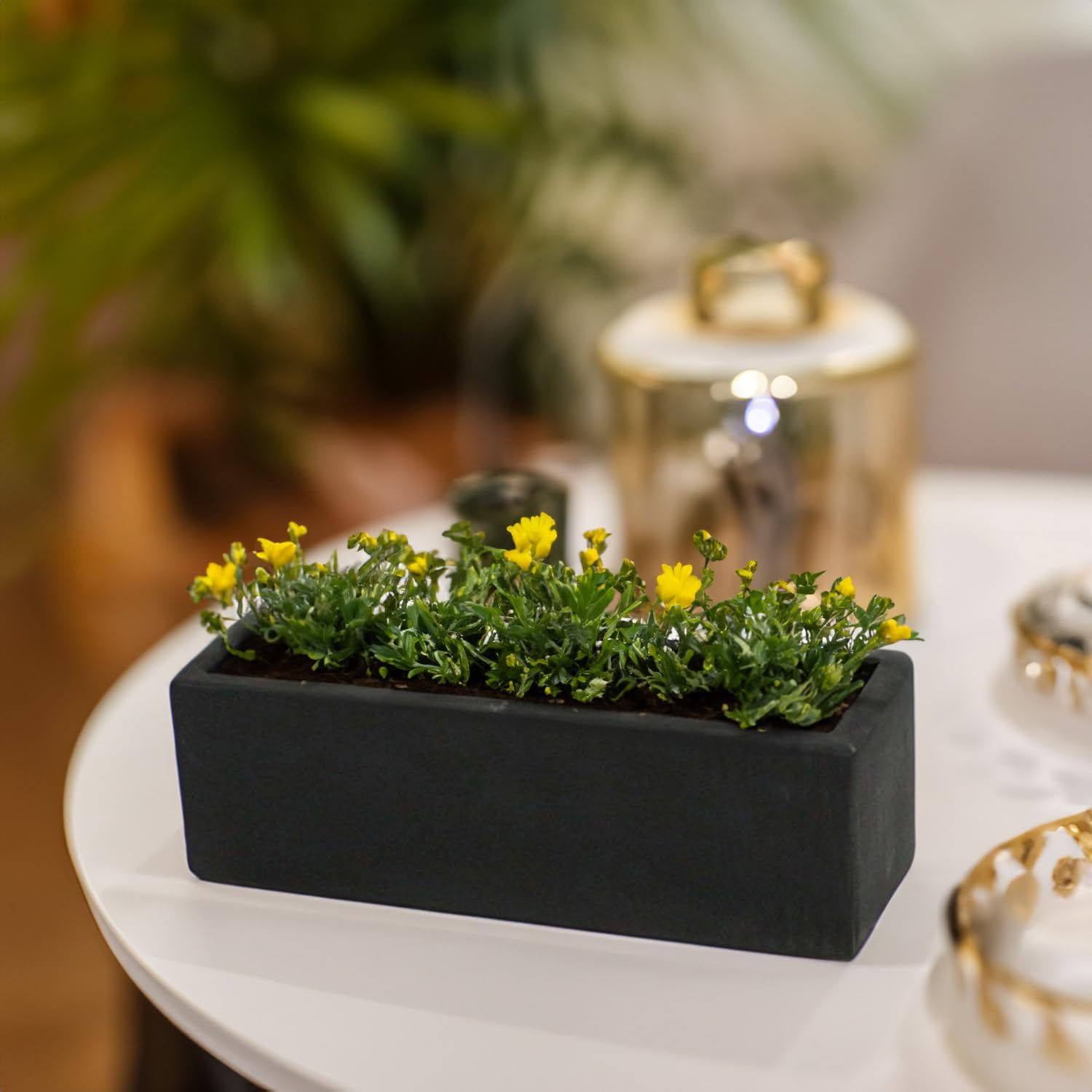WGVI Long Rectangle Ceramic Planter Vase in Black 12' x 4' x 4'H, Block Rectangular Terrarium Box Pot, Flower Arrangement, Table top Centerpiece, Home Decor Organization Storage Container, 6 Pcs.