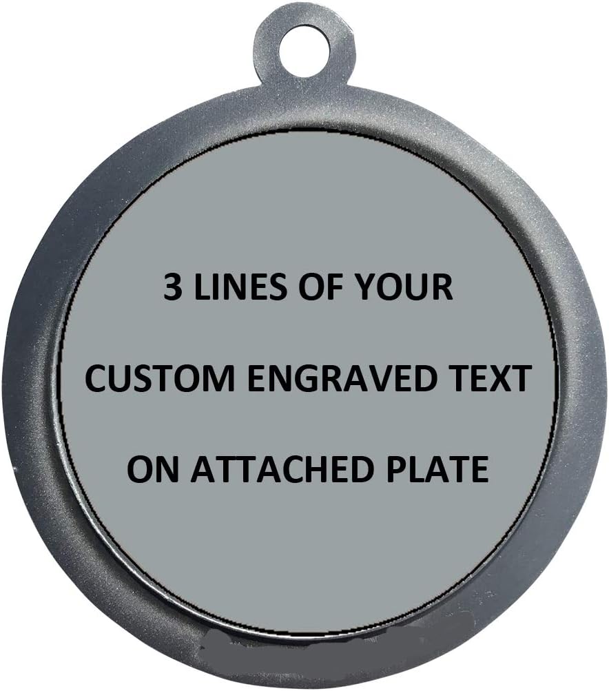Express Medals Engraved 1 to 50 Packs Engraved Cornhole Silver Medal Trophy Award with Personalized Custom Text LD212-FCL455