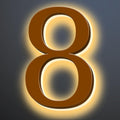 Illuminated LED House Numbers 20', Stainless Steel Backlit LED Illuminated Home Address Numbers, Large Modern Lighted House Numbers For Outside, Brown, Warm Light,8