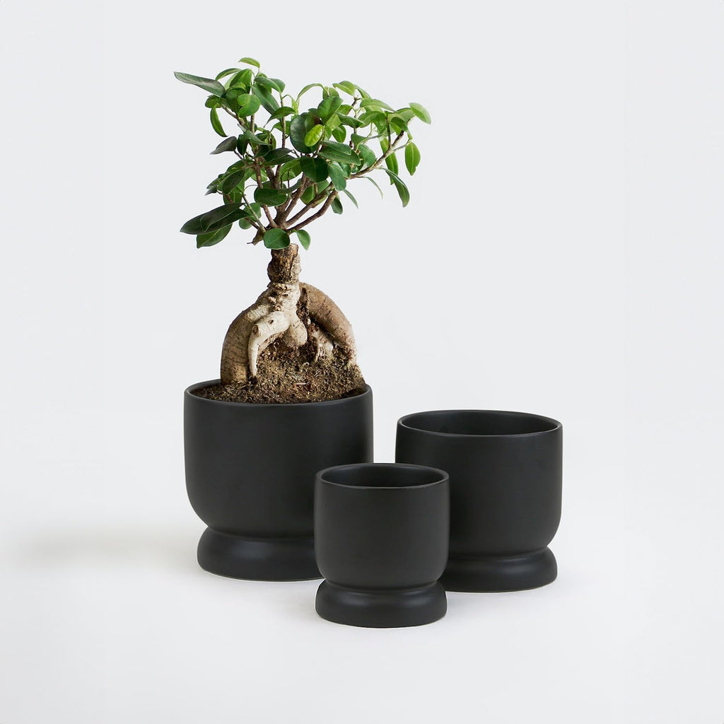 WGVI Black Modern Pedestal Vase Ceramic Bowl, 5.3' x 5'H, Sleek Contemporary Flower or Plant Container, Floral Home Décor Planter, No Drain Hole, 12 Piece