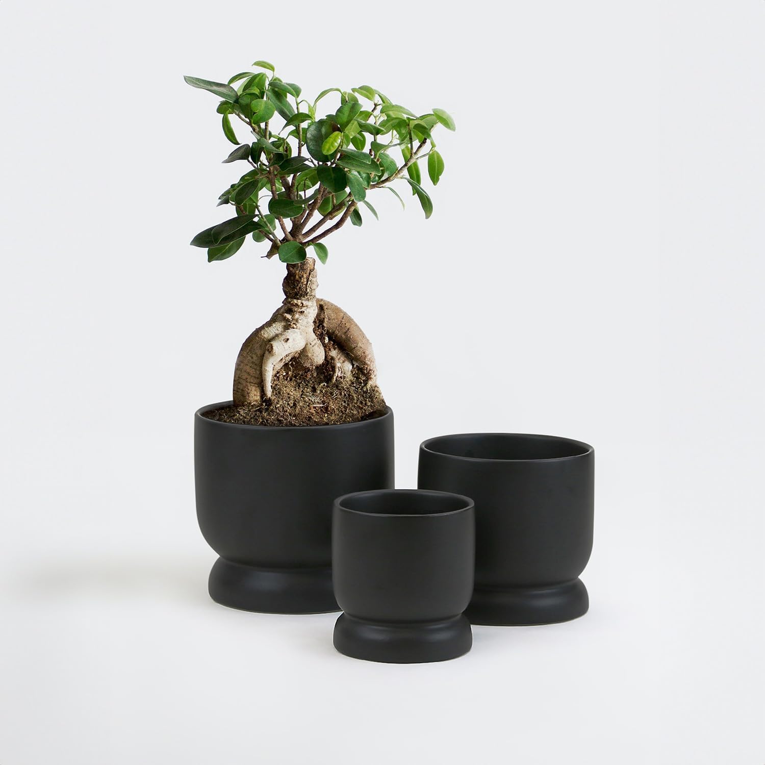 WGVI Black Modern Pedestal Vase Ceramic Bowl, 5.3' x 5'H, Sleek Contemporary Flower or Plant Container, Floral Home Décor Planter, No Drain Hole, 12 Piece