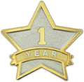 PinMart Year Service Award STAR Lapel Pin – Gold Color Plated- & Silver-Plated Metal Workplace Reward Pin – 1-30, 35, 40, 45 & 50 Years of Service Star Pins for Long Standing Employees or Volunteers
