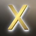 Backlit LED Illuminated Door Number, Gold Brushed Stainless Steel, LED Illuminated Home Address Number, Modern Lighted House Numbers.