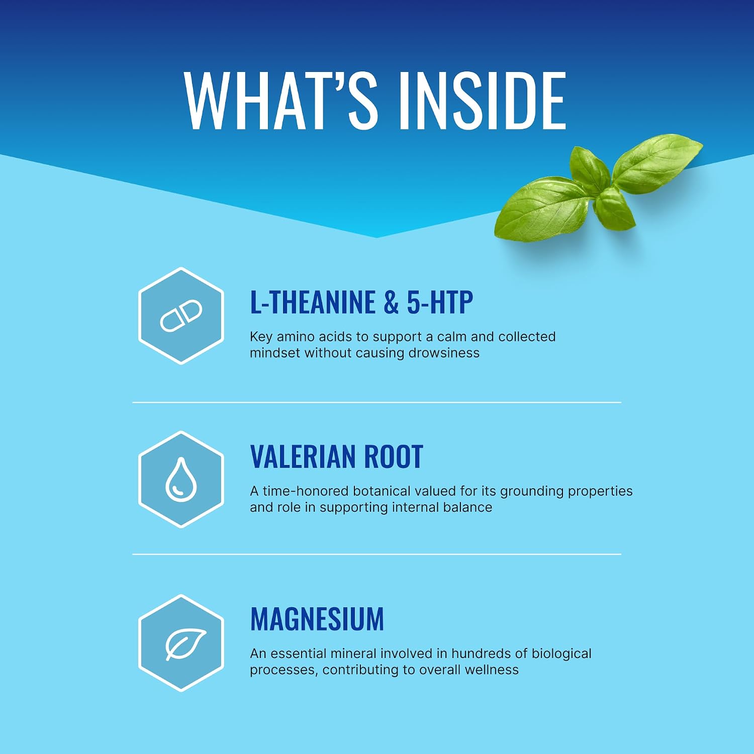 Approved Science Anxietex - Calm and Relaxation - L-Theanine and Magnesium - 60 Capsules - Vegan Friendly - 6 Month Supply