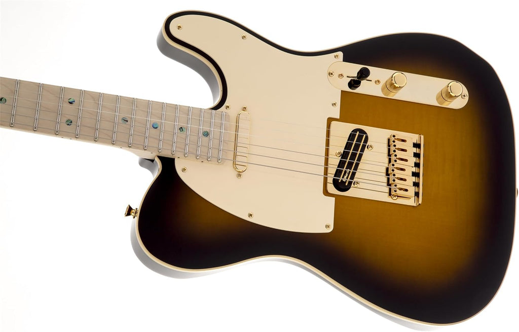 Fender Artist Series 255202532 Richie Kotzen Telecaster Electric Guitar, Maple Fingerboard, Brown Sunburst