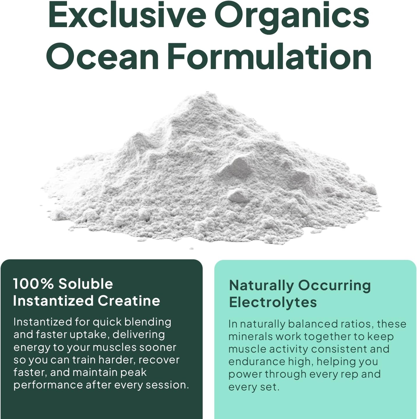 Organics Ocean Krealyte Fusion - Instantized Creatine Monohydrate Powder with Electrolytes - Muscle Strength, Endurance & Hydration Support - Vegan, Sugar-Free, Pink Lemonade Flavor - 120 Servings