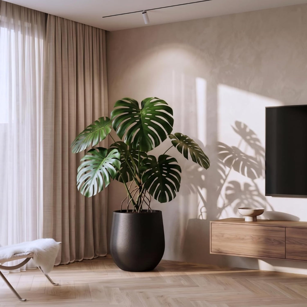 KUTE NEST 16.5' H x 15' D Premium Corso Fiberstone Round Planter for Outdoor & Indoor Plants, Ideal for Snake Plants, Monstera & House Plants, Included 2 Extra Coco Mats (Black, 11.5' Pot Opening)