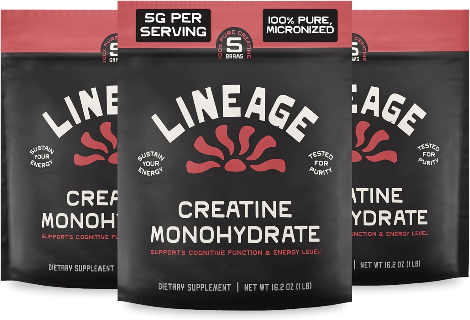 Lineage Provisions Micronized Creatine Monohydrate Powder with Sea Salt – Bulk 3 Pack – Unflavored Creatine Supplement for Men & Women – Easy Mix, 90 Servings Each