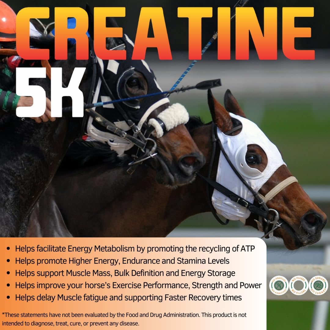 Creatine 5K - Energy Muscle Support Recovery Power Strength Endurance Stamina Supplements for Horses by NXP Supplements - 25 lb (454 Servings)