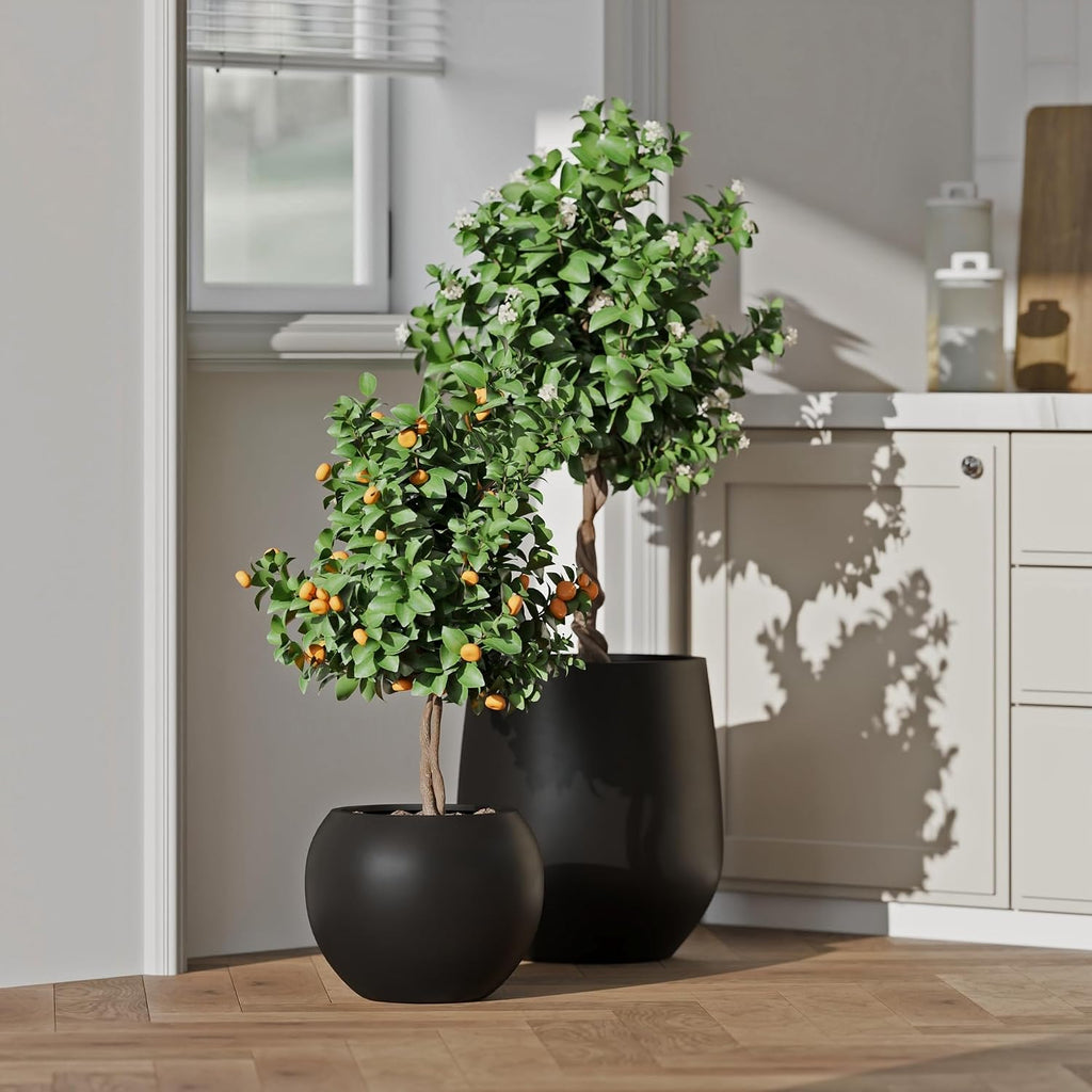 DTY Premium Mt Sherman Fiberstone Sphere Planter for Indoor Outdoor Use, Round Pot for Olive Tree, Lightweight, Smooth Finishes. 2 Extra Coco Mats. Black, Large 21.1'' D x 16.7'' H. 14.6' Pot Opening