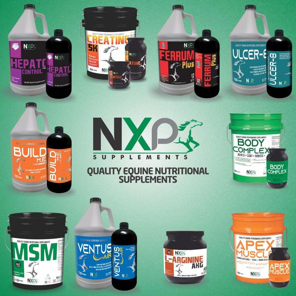 Creatine 5K - Energy Muscle Support Recovery Power Strength Endurance Stamina Supplements for Horses by NXP Supplements - 25 lb (454 Servings)