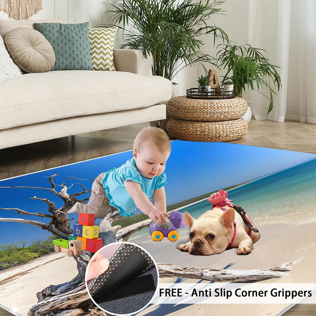 Beach Rugs for Living Room, Sea Scenery Bedroom Rug, Home Decor Area Rug for Dining Room Farmhouse Floor Mat 6x8