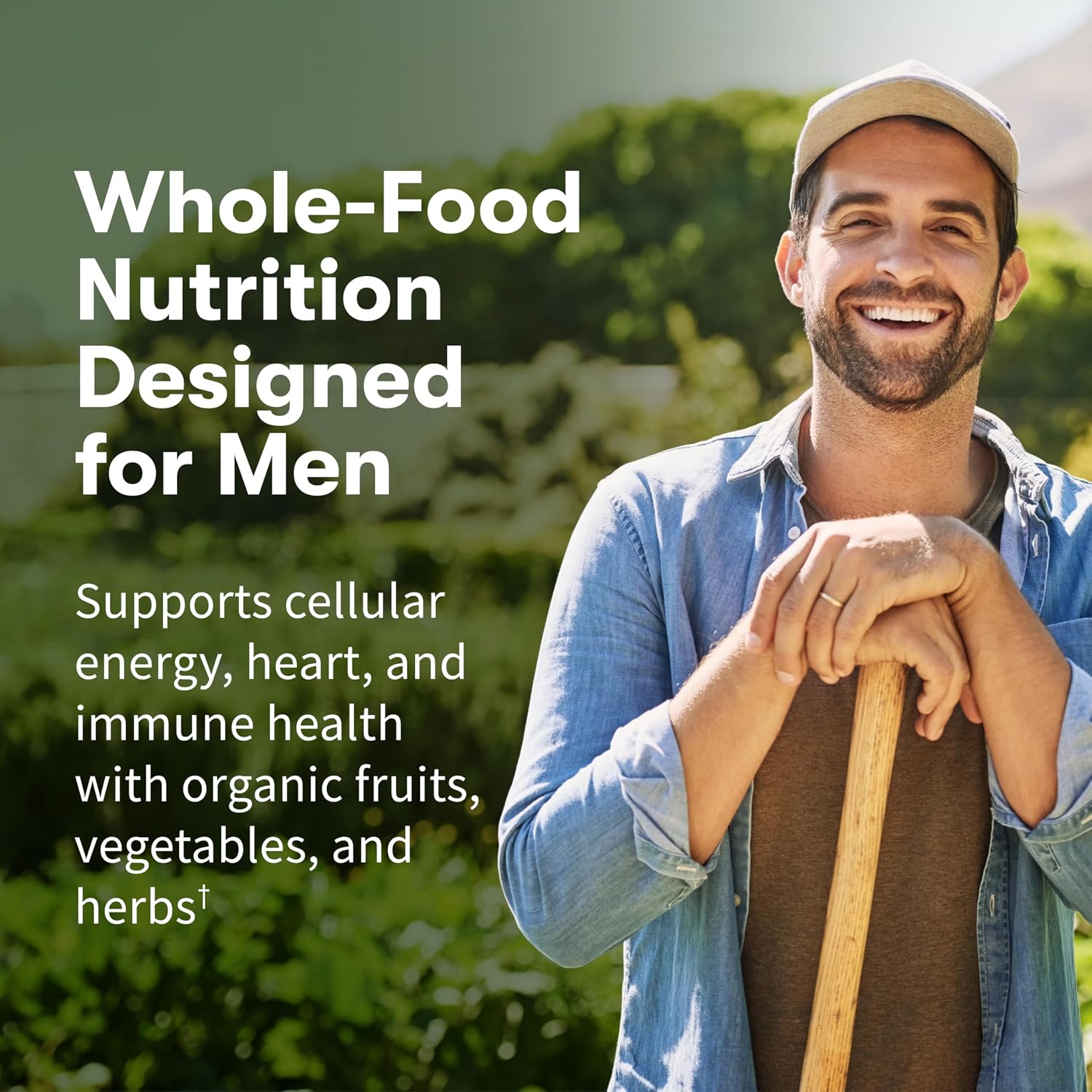 Garden of Life Once Daily Whole Food Multivitamin for Men, Organic Mens Vitamins & Minerals, Vitamin C, Zinc, Vegan, for Health & Well-Being, 60 Tablets (Pack of 6)