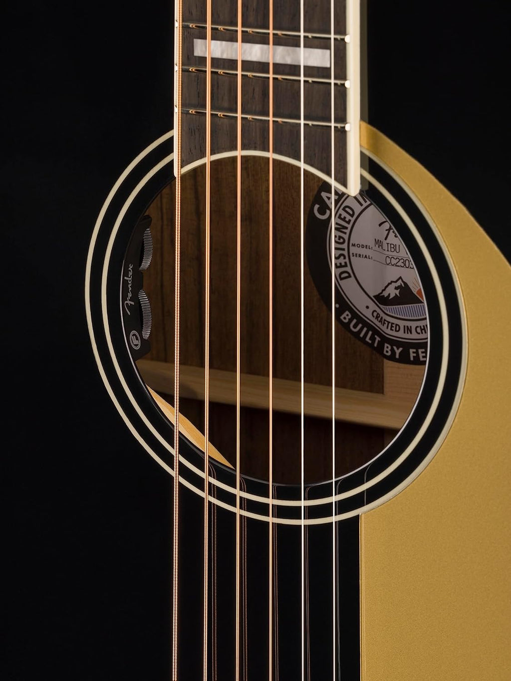 Malibu Vintage, Ovangkol Fingerboard, Gold Pickguard, Black
