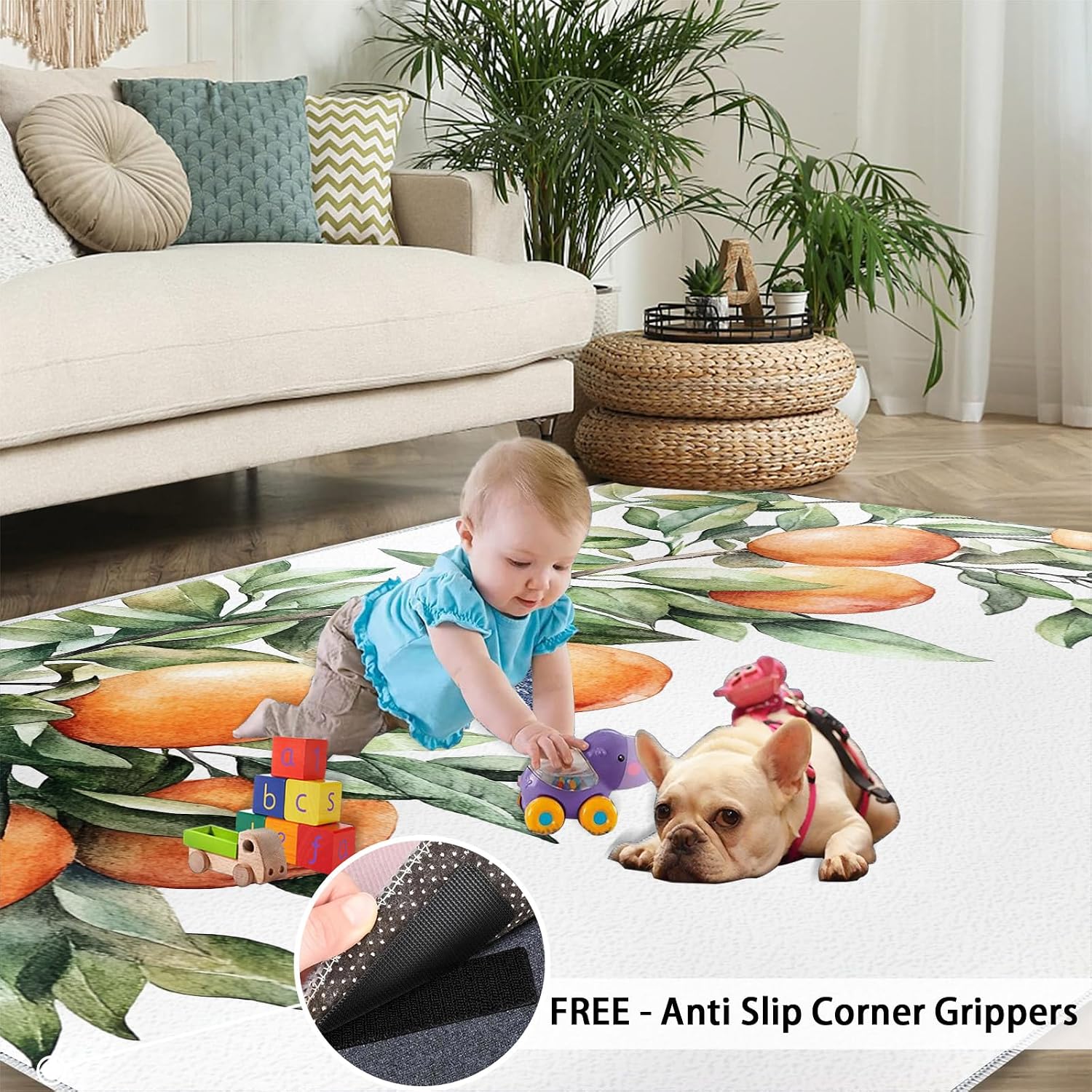 Fruit Rug 6x8, Orange Rugs for Living Room, Watercolor Rugs for Bedroom, Washable Area Rug, Non Slip Carpet for Hardwood Floors