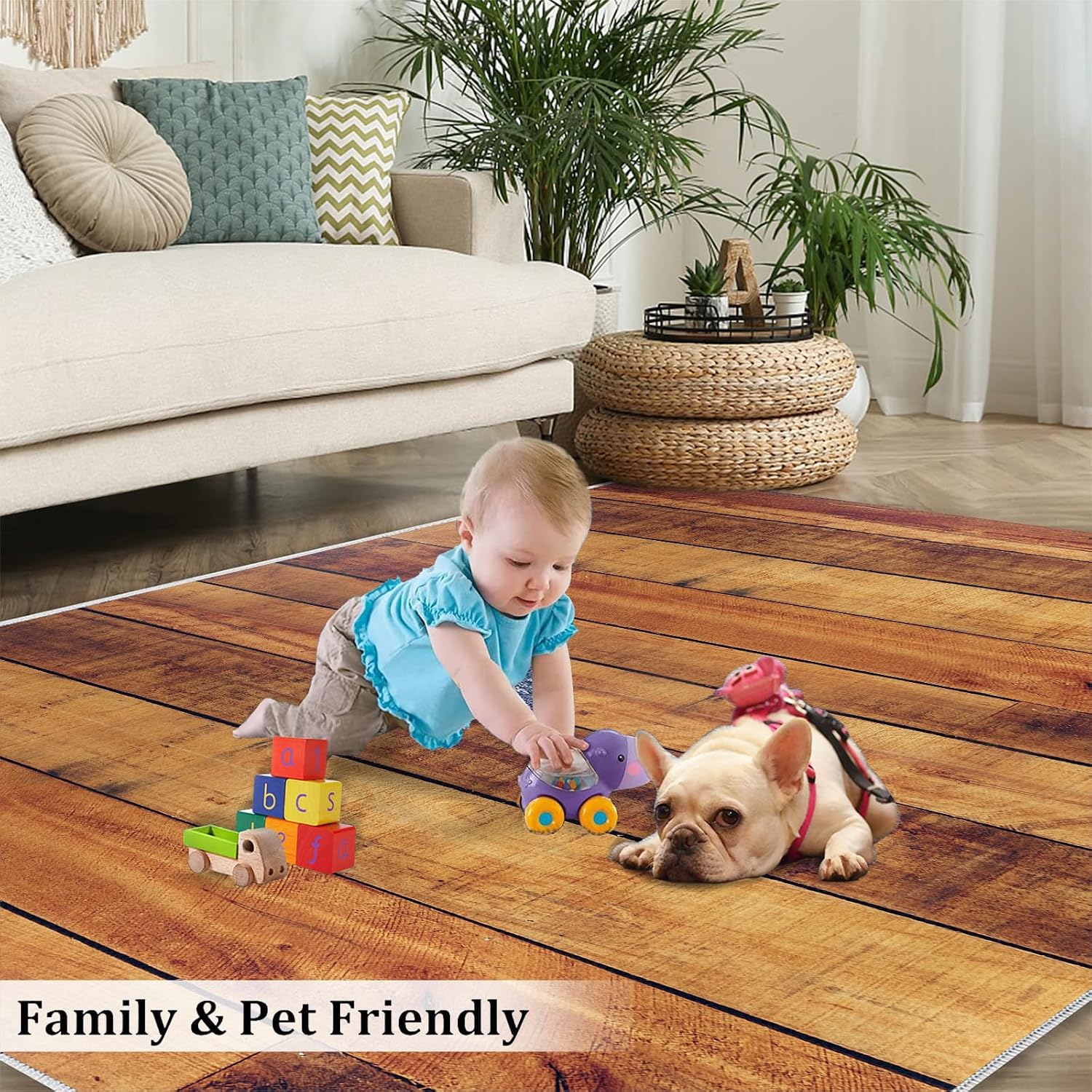 Modern Stylish Wood Grain Area Rug, Farm Plank Wood Grain Rugs for Living Room, Indoor Non-Slip Kids Rugs, Machine Washable Breathable Durable Carpet for Front Entrance Floor Decor,6 x 8ft