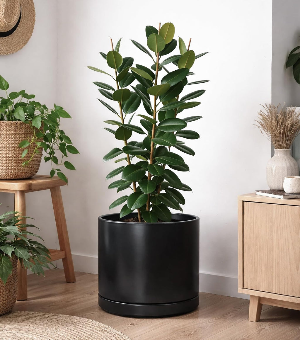 D'vine Dev 16 Inch Ceramic Planter Pot with Drainage Hole and Saucer, Indoor Cylinder Round Planter Pot, Black, 94-O-H-2