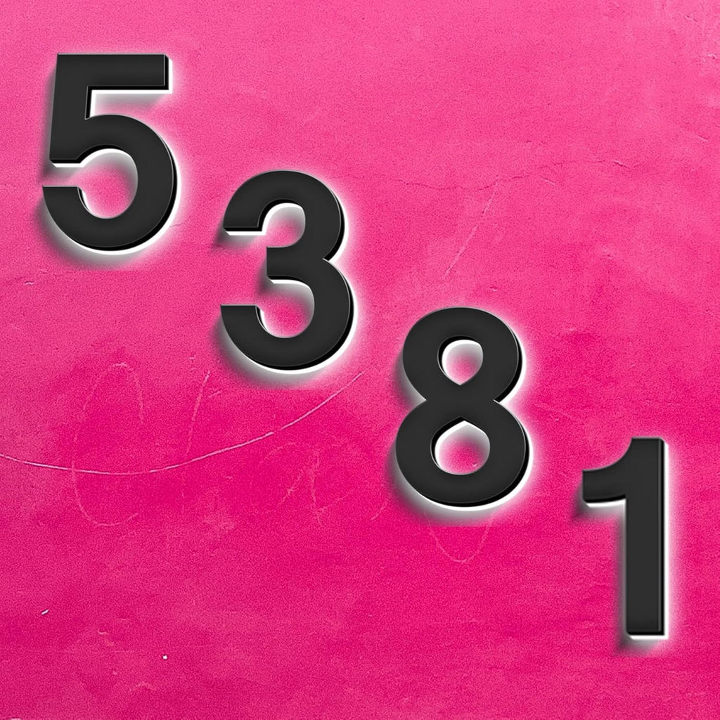 16' Address Numbers, Stainless Steel, Backlit LED Illuminated House Number, Up-Scale Modern Black Look, Lighted Home Address Numbers For Outside,4