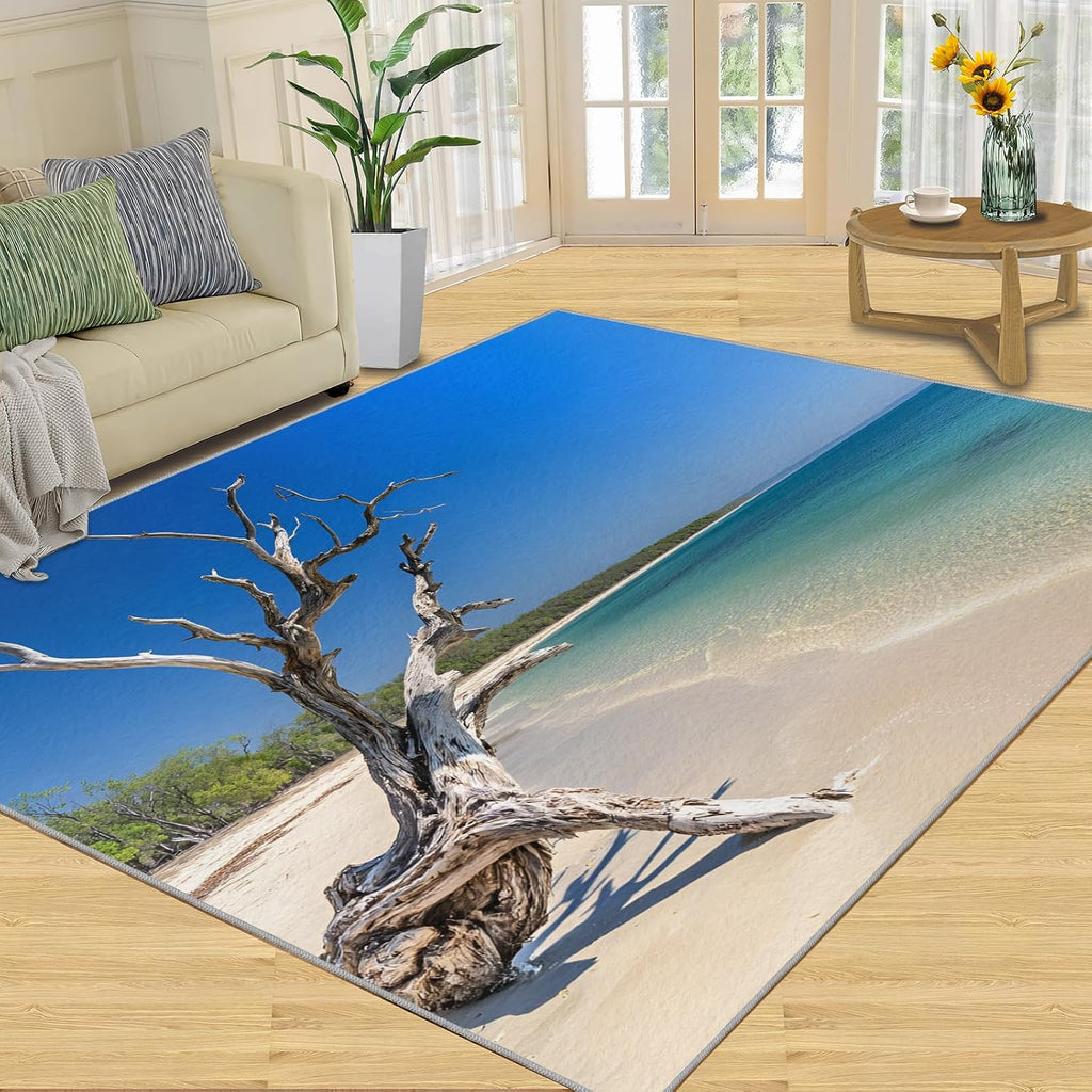 Beach Rugs for Living Room, Sea Scenery Bedroom Rug, Home Decor Area Rug for Dining Room Farmhouse Floor Mat 6x8
