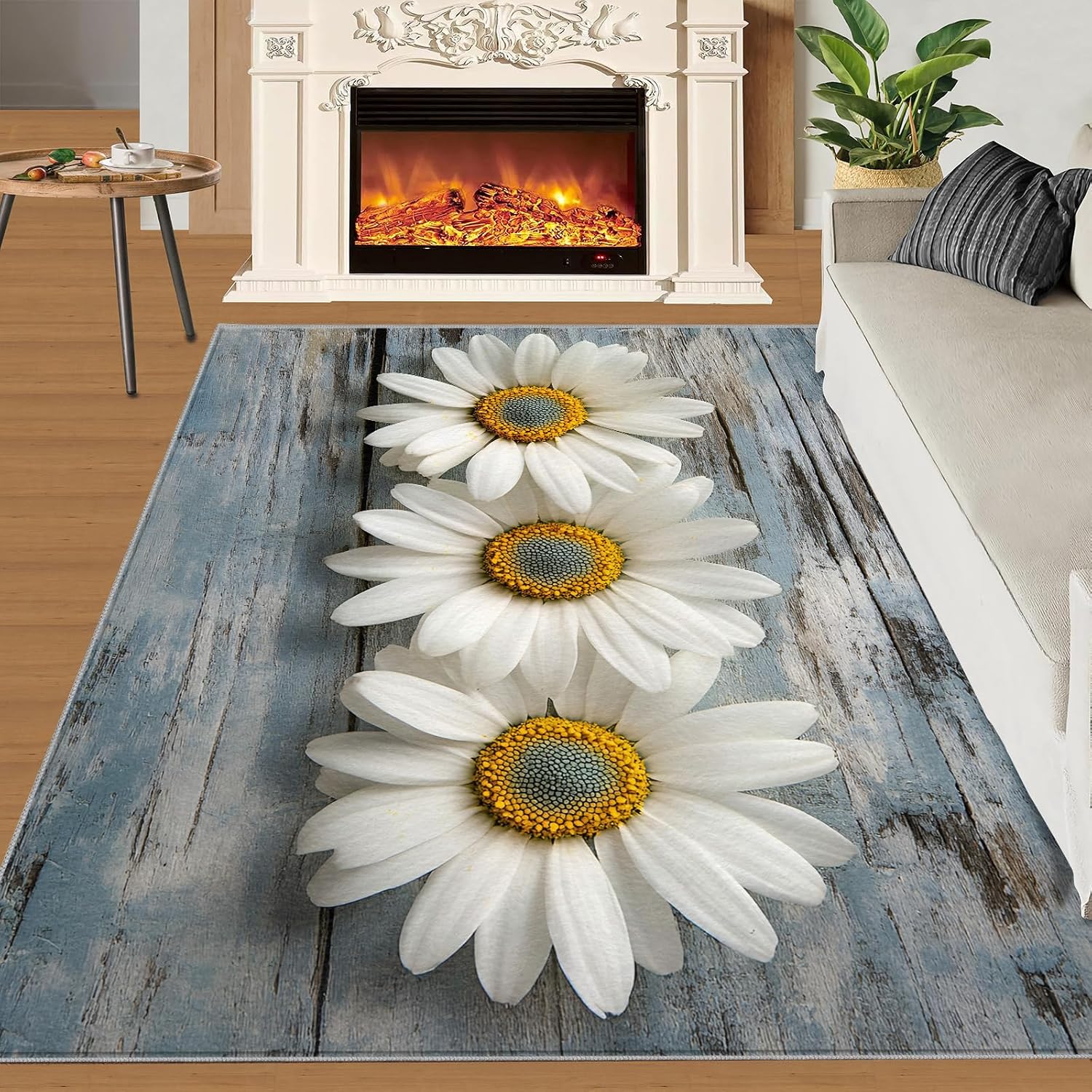 Daisy Rugs for Girls Room, Wooden Board Background Area Rug, Washable Bedroom Rug for Living Room Study Office Decor Floor Mat 6x8