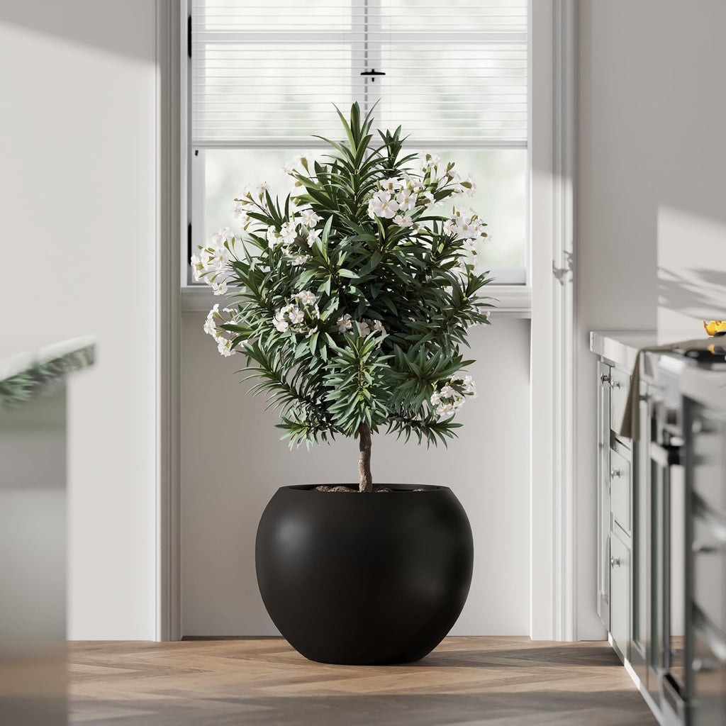 DTY Premium Mt Sherman Fiberstone Sphere Planter for Indoor Outdoor Use, Round Pot for Olive Tree, Lightweight, Smooth Finishes. 2 Extra Coco Mats. Black, Large 21.1'' D x 16.7'' H. 14.6' Pot Opening