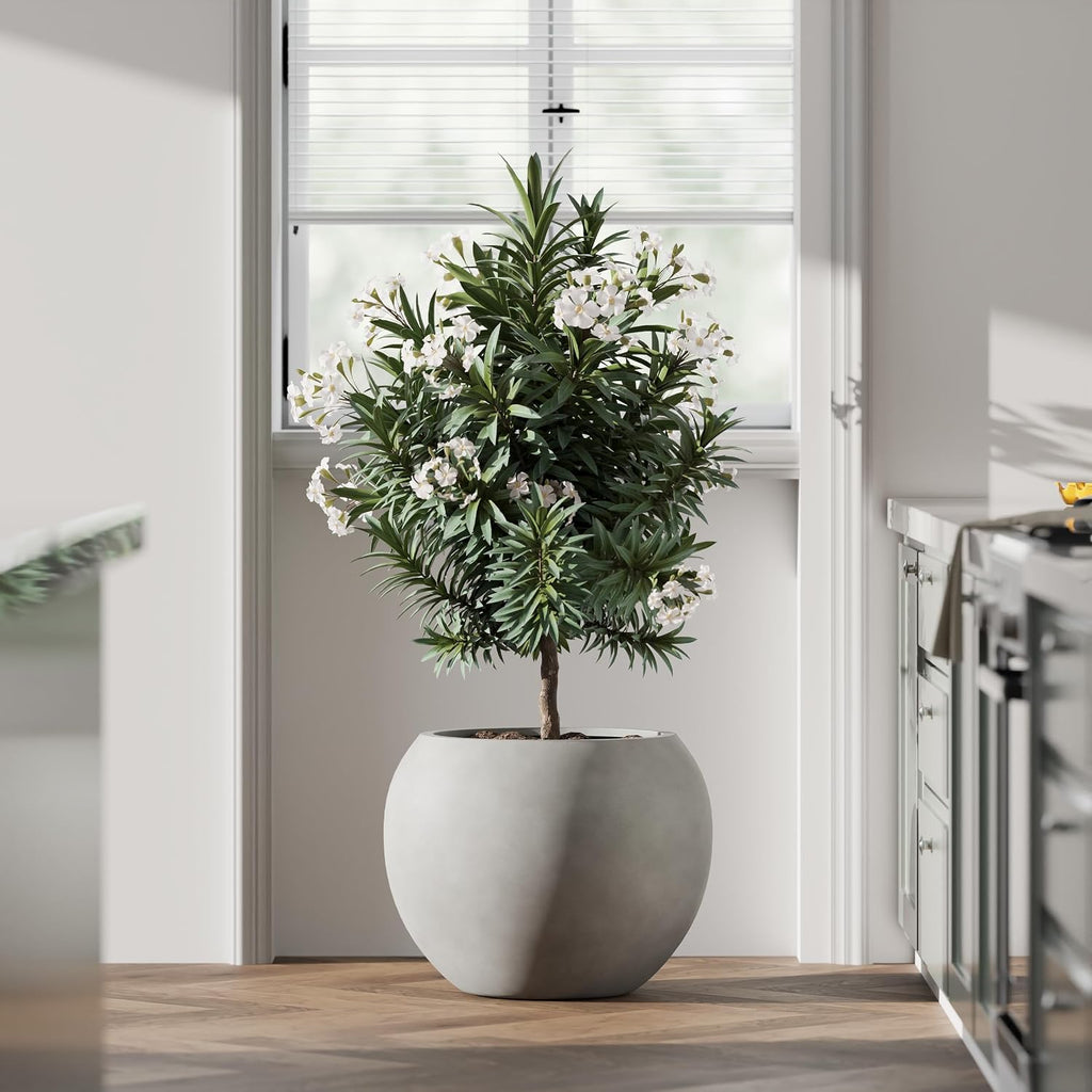 DTY Premium Mt Sherman Fiberstone Sphere Planter for Indoor Outdoor Use, Round Pot for Olive Tree, Lightweight, Smooth Finishes. 2 Extra Coco Mats. Gray, Large 21.1'' D x 16.7'' H. 14.6' Pot Opening