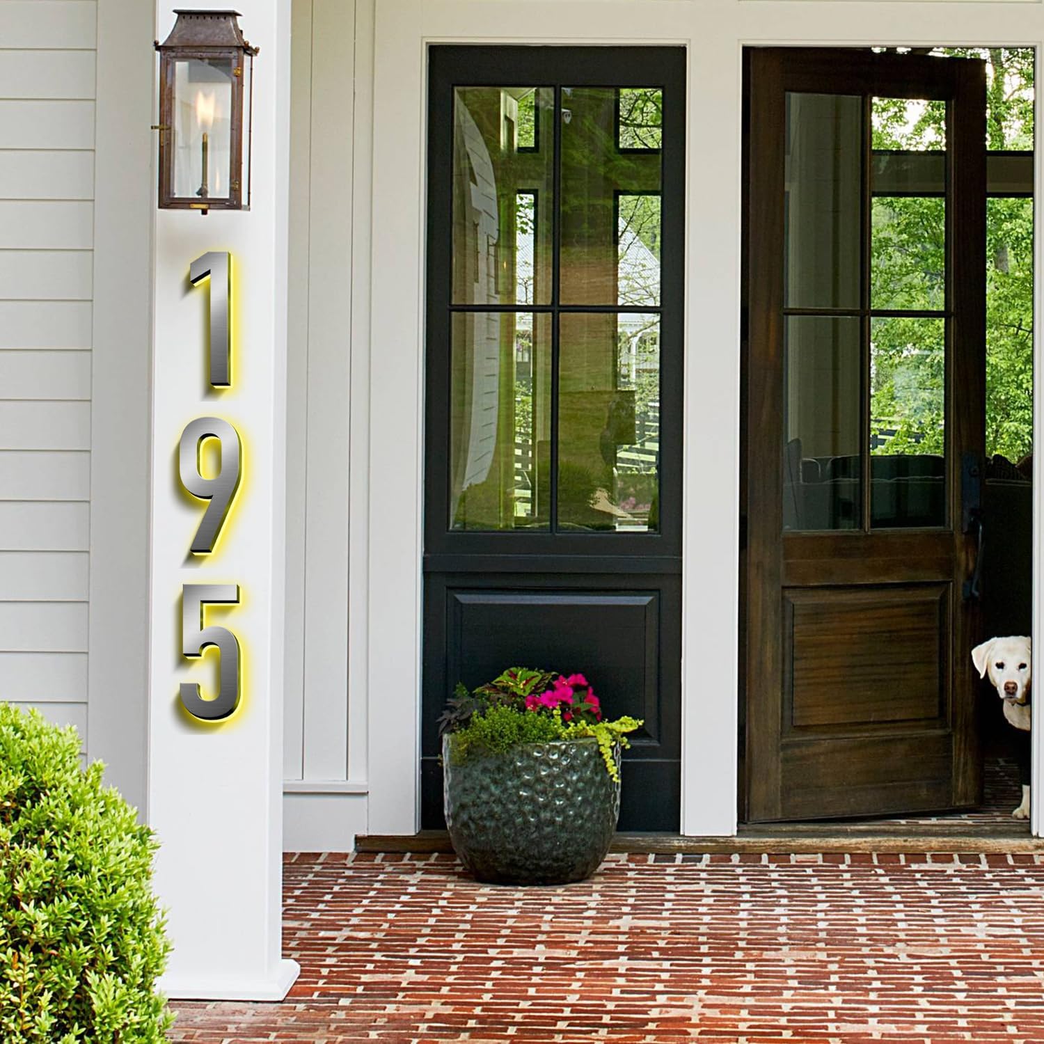 Backlit Illuminated LED Home Address Numbers, Up-Scale Modern Look, Stainless Steel Hand-Polished For House Address Signs, Lighted House Number For Outside,18 Inch/450mm,8