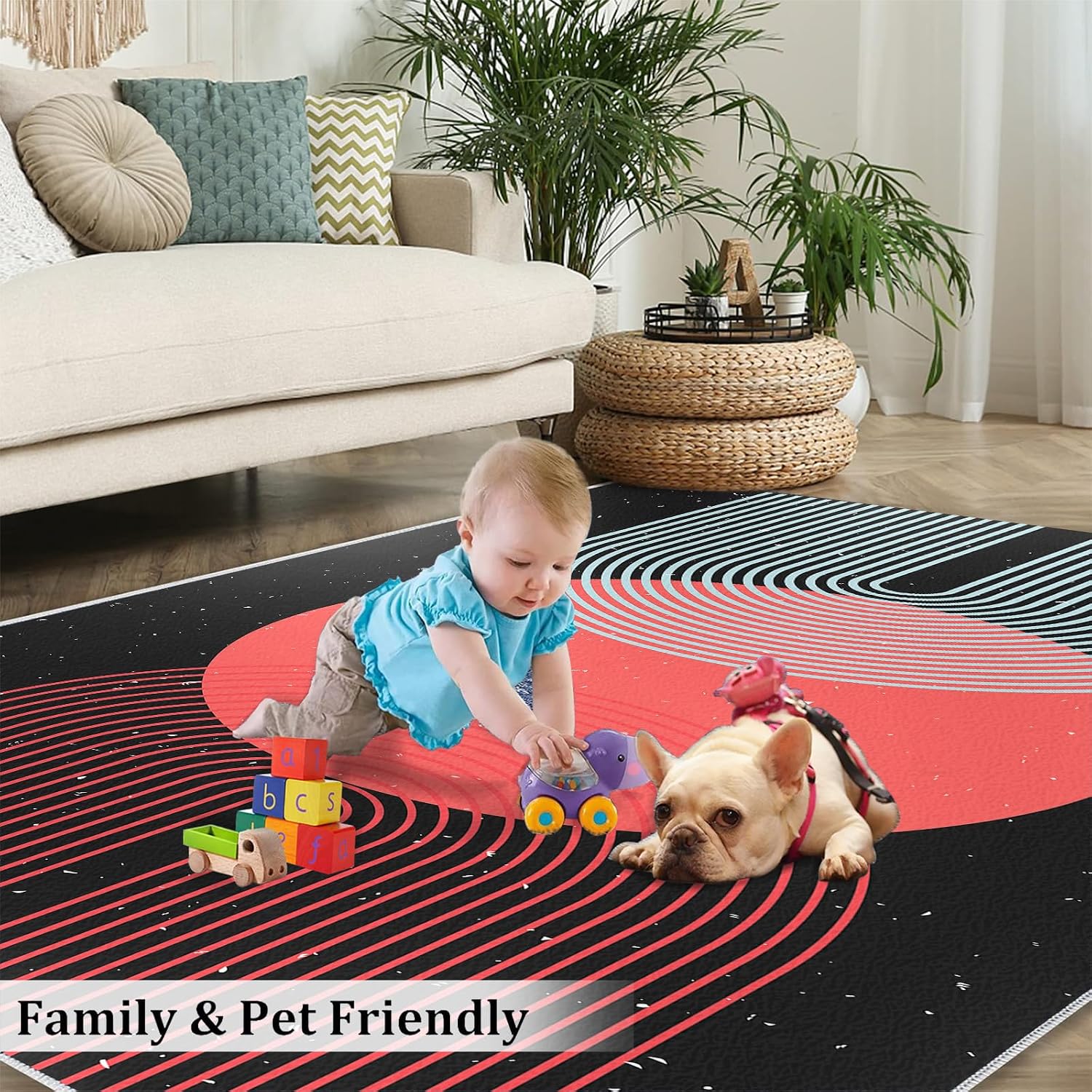 Abstract Boho Art Area Rug, Nordic Sun Print Rugs for Living Room, Indoor Non-Slip Kids Rugs, Machine Washable Breathable Durable Carpet for Front Entrance Floor Decor,6 x 8ft