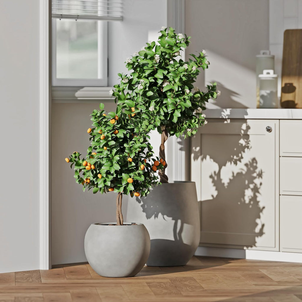 DTY Premium Mt Sherman Fiberstone Sphere Planter for Indoor Outdoor Use, Round Pot for Olive Tree, Lightweight, Smooth Finishes. 2 Extra Coco Mats. Gray, Large 21.1'' D x 16.7'' H. 14.6' Pot Opening