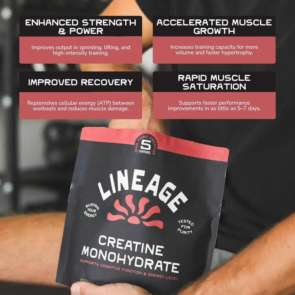 Lineage Provisions Micronized Creatine Monohydrate Powder with Sea Salt – Bulk 3 Pack – Unflavored Creatine Supplement for Men & Women – Easy Mix, 90 Servings Each