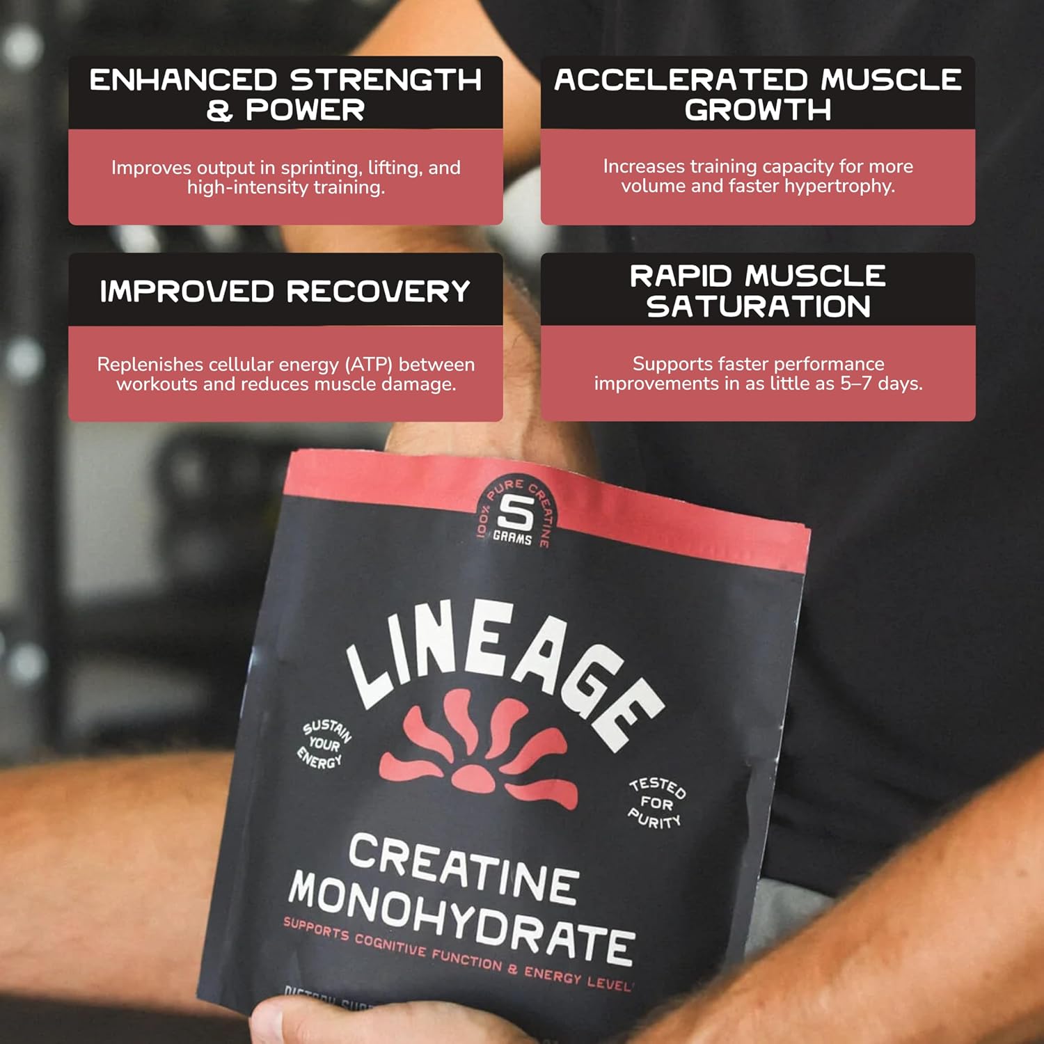 Lineage Provisions Micronized Creatine Monohydrate Powder with Sea Salt – Bulk 3 Pack – Unflavored Creatine Supplement for Men & Women – Easy Mix, 90 Servings Each