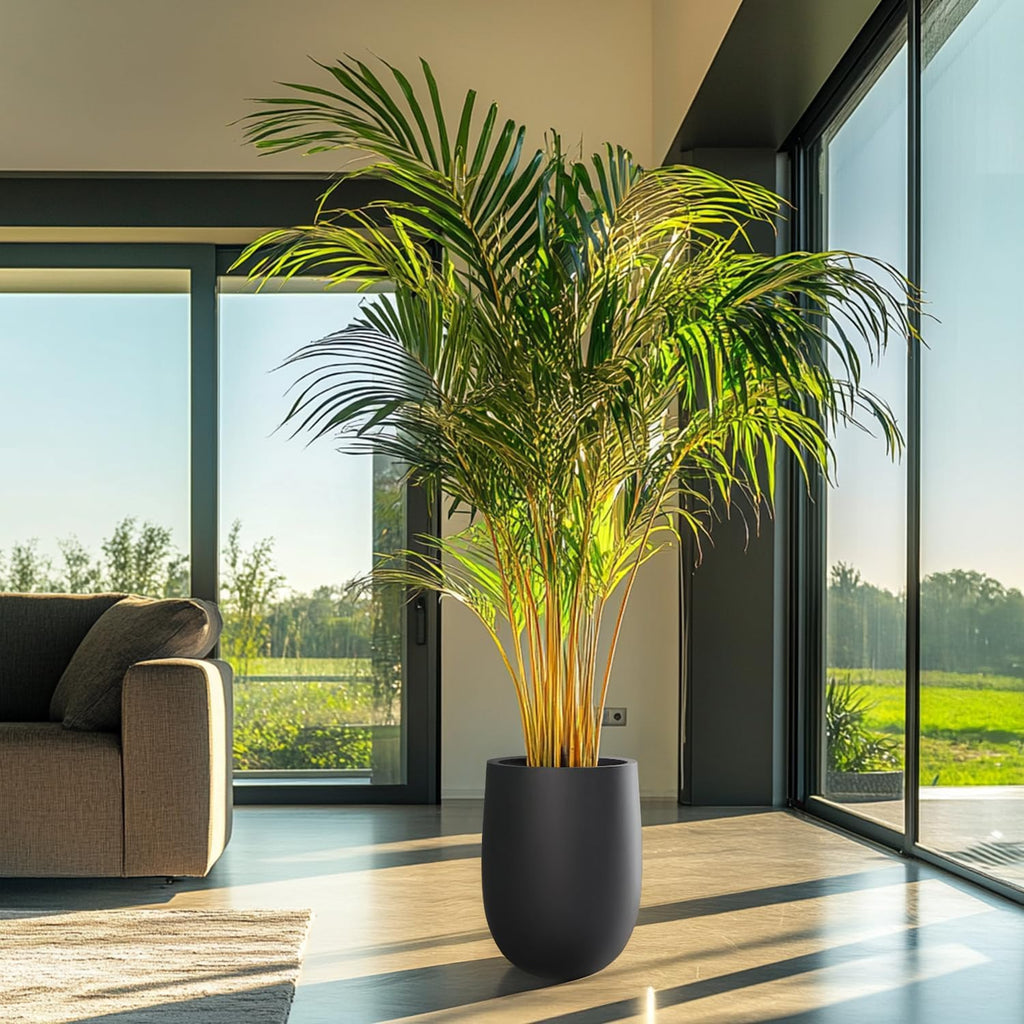 Heyzier Concrete Planter Outdoor Indoor, Large Tall Cement Plant Pots for Trees Flowers (Black, 22 inch) (Black, 18 inch)