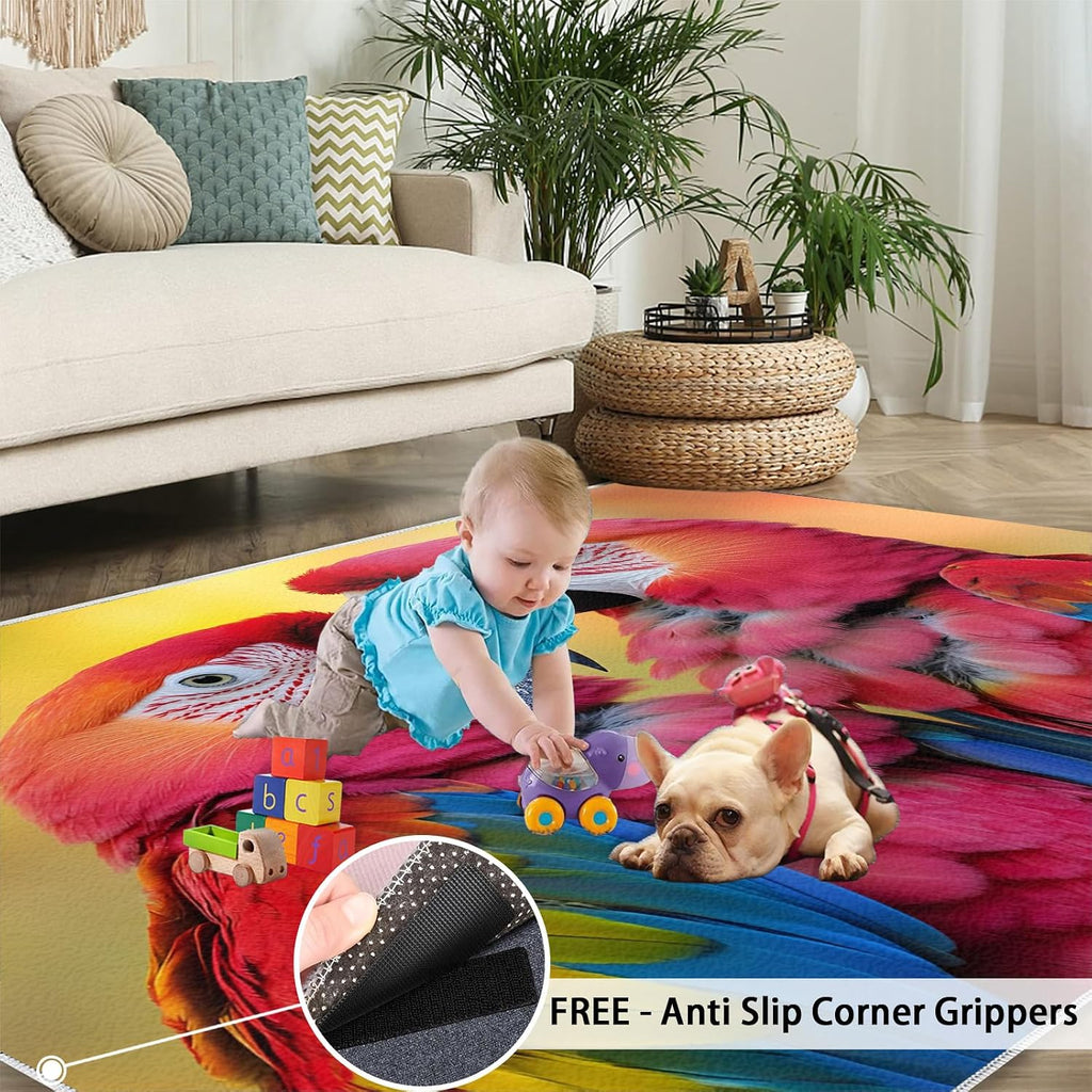 Colorful Parrots Rug - Large Rug 6x8 - Intimate Parrots Rugs for Living Room - Soft & Non Slip & Washable Rugs for Bedroom, Realistic Birds Carpets for Dining Room Lounge Girls Room