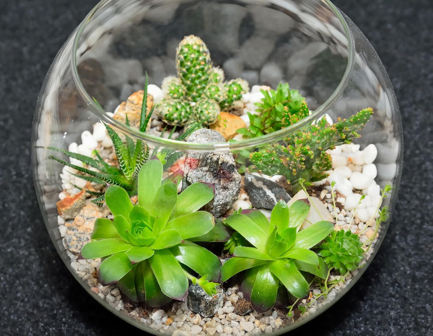 16 Pcs Glass Fish Bowl Round Vase for Centerpiece Bulk Clear Bubble Fish Bowl Decorations Flower with Water Gel Beads for Wedding Floral Floating Filler Home Decorations