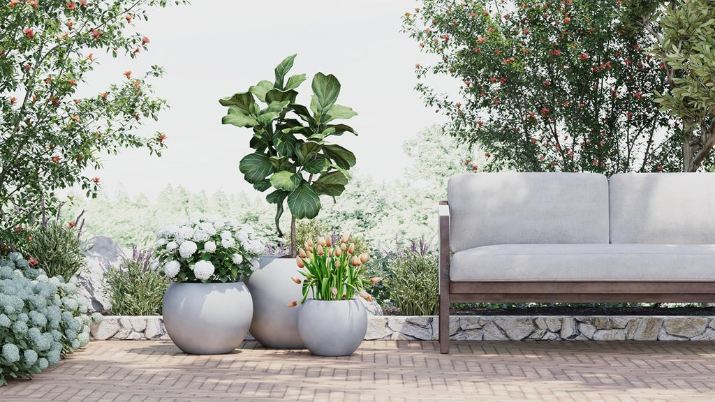 DTY Premium Mt Sherman Fiberstone Sphere Planter for Indoor Outdoor Use, Round Pot for Olive Tree, Lightweight, Smooth Finishes. 2 Extra Coco Mats. Gray, Large 21.1'' D x 16.7'' H. 14.6' Pot Opening