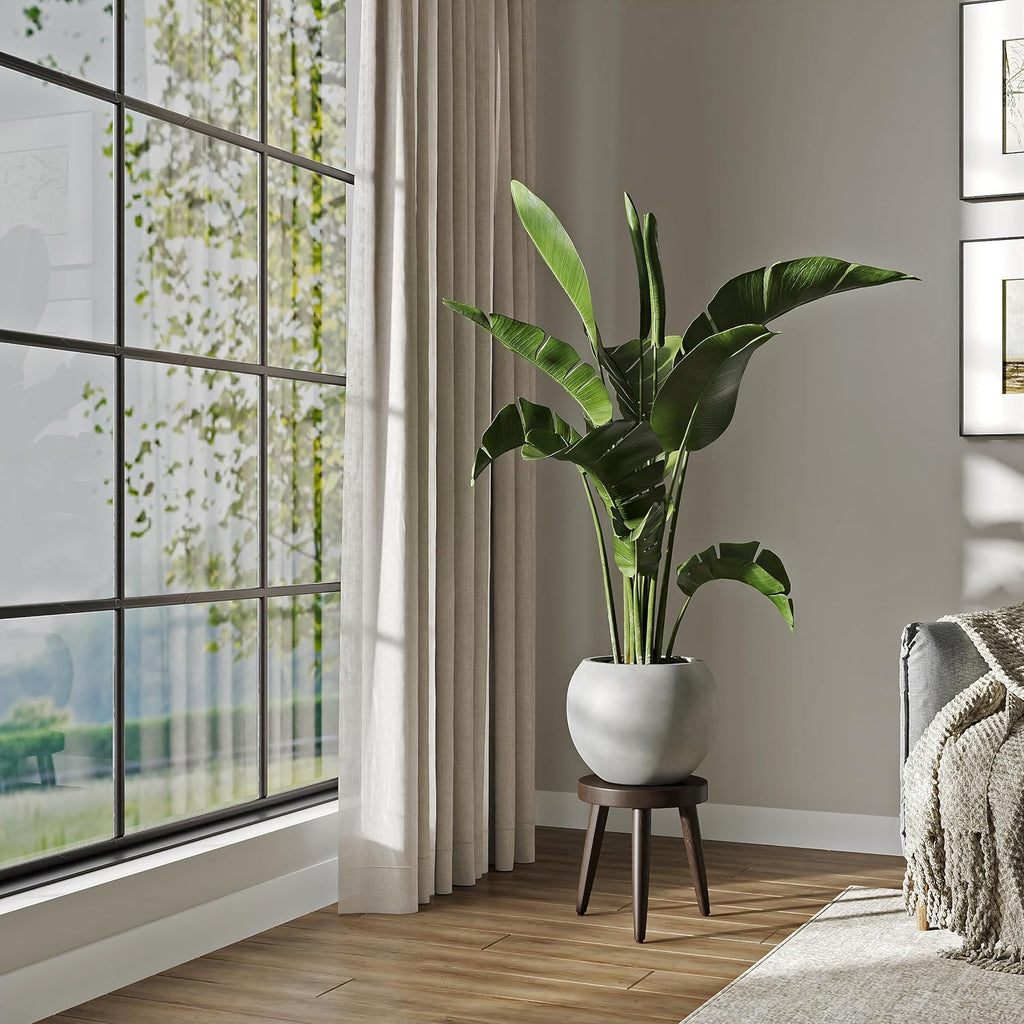 DTY Premium Mt Sherman Fiberstone Sphere Planter for Indoor Outdoor Use, Round Pot for Olive Tree, Lightweight, Smooth Finishes. 2 Extra Coco Mats. Gray, Large 21.1'' D x 16.7'' H. 14.6' Pot Opening