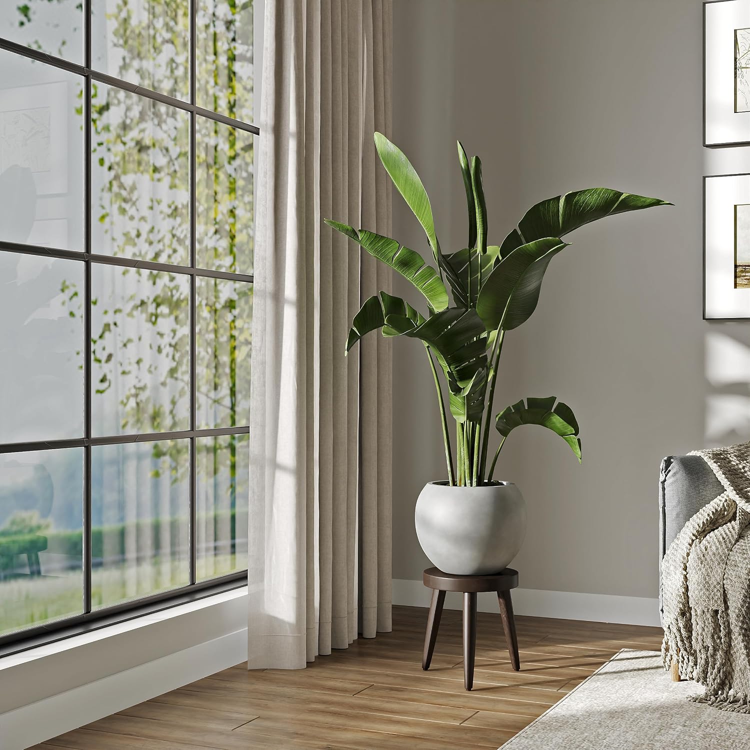 DTY Premium Mt Sherman Fiberstone Sphere Planter for Indoor Outdoor Use, Round Pot for Olive Tree, Lightweight, Smooth Finishes. 2 Extra Coco Mats. Gray, Large 21.1'' D x 16.7'' H. 14.6' Pot Opening