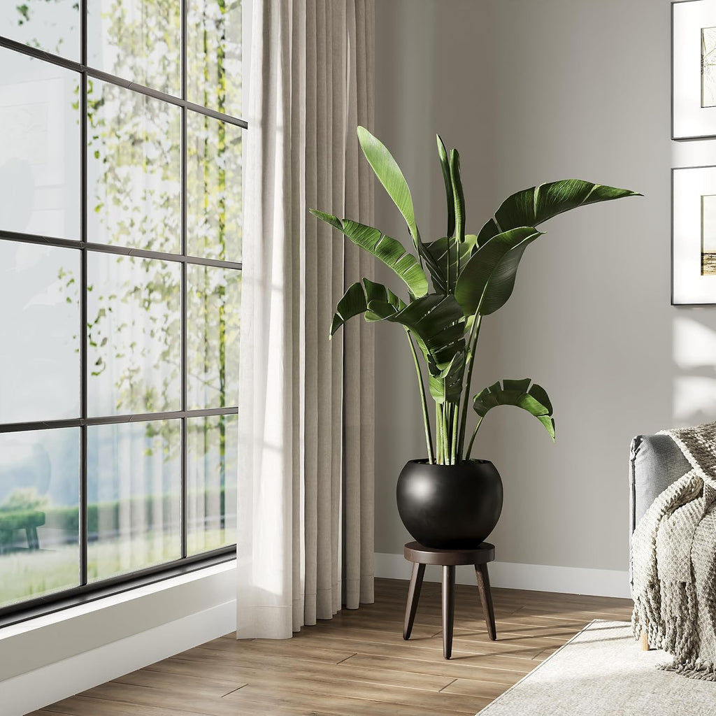 DTY Premium Mt Sherman Fiberstone Sphere Planter for Indoor Outdoor Use, Round Pot for Olive Tree, Lightweight, Smooth Finishes. 2 Extra Coco Mats. Black, Large 21.1'' D x 16.7'' H. 14.6' Pot Opening